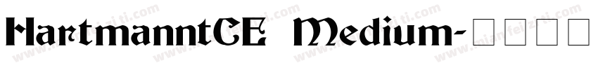 HartmanntCE Medium字体转换